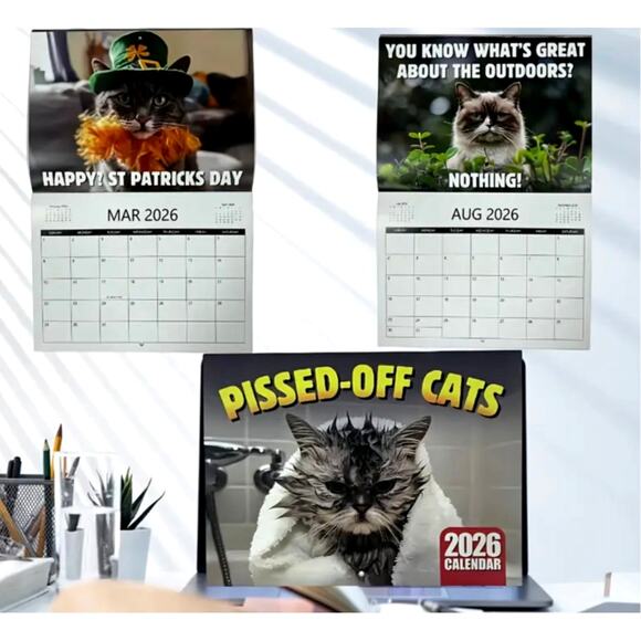 2026 Pissed Off Cats Calendar Funny - Picture 2 of 8